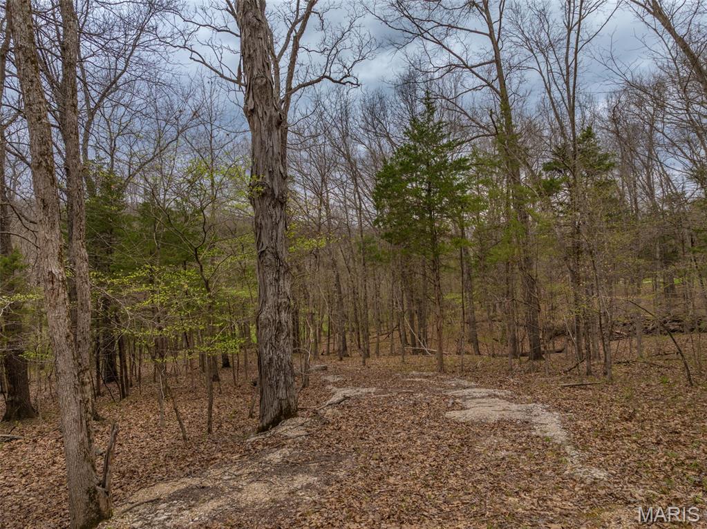 2903 Valley View Drive Innsbrook, MO 63390 - Photo 8 of 13