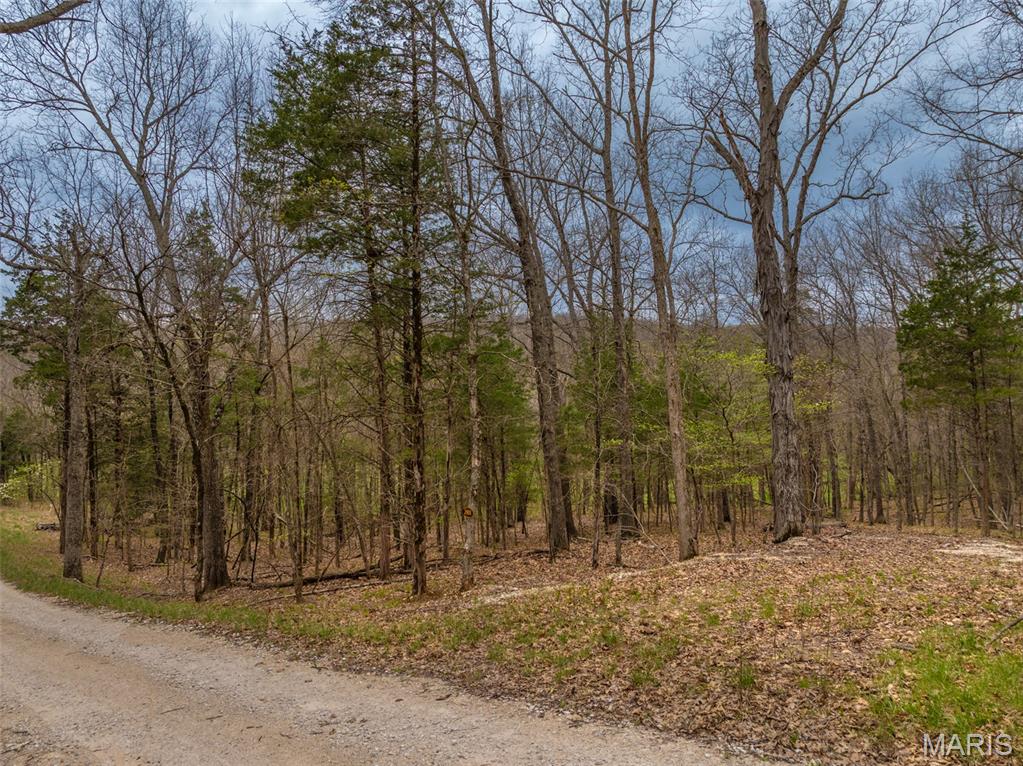 2903 Valley View Drive Innsbrook, MO 63390 - Photo 9 of 13