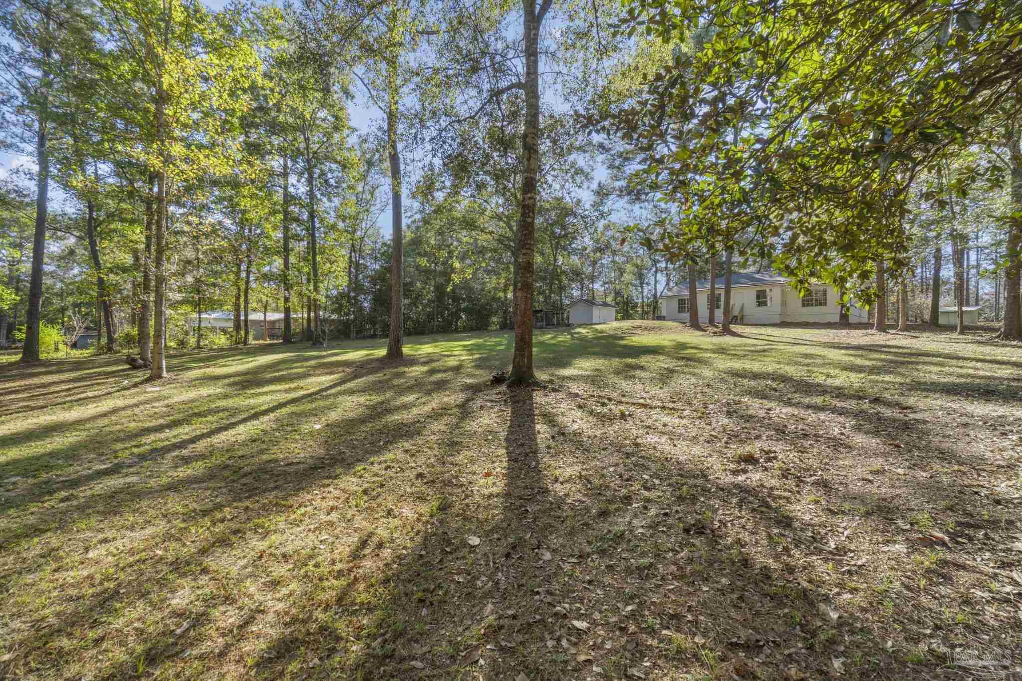 195 Miller Road DeFuniak Springs, FL 32435 - Photo 37 of 50 a view of a park with large trees