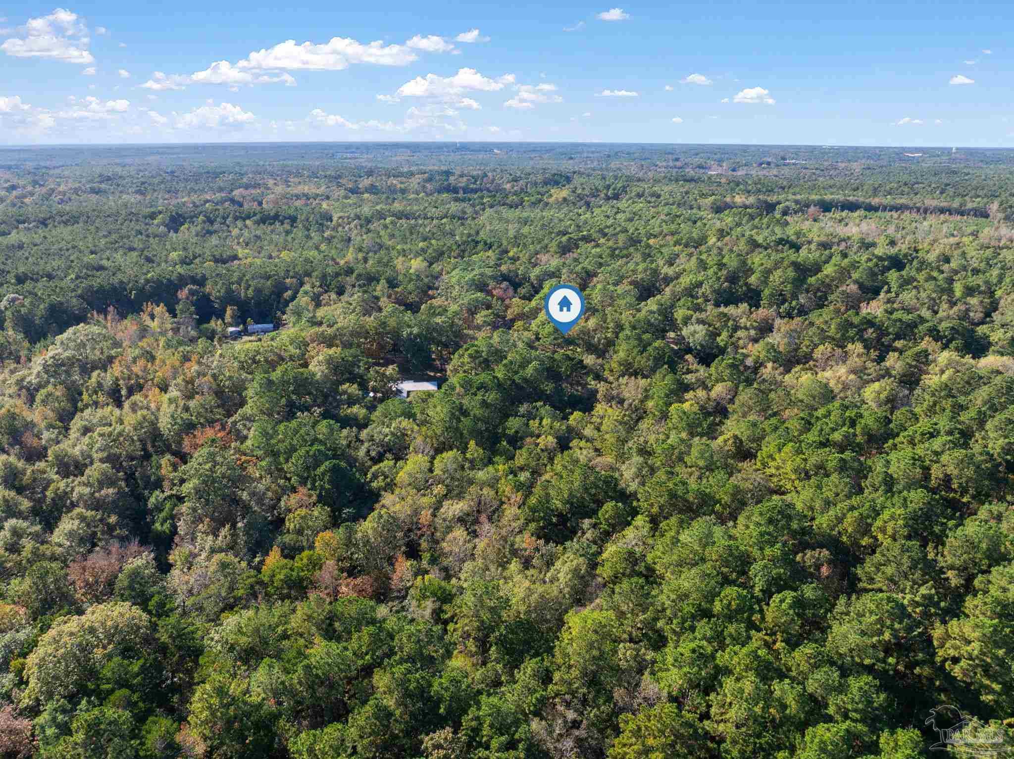 195 Miller Road DeFuniak Springs, FL 32435 - Photo 45 of 50 a view of a green field with lots of bushes
