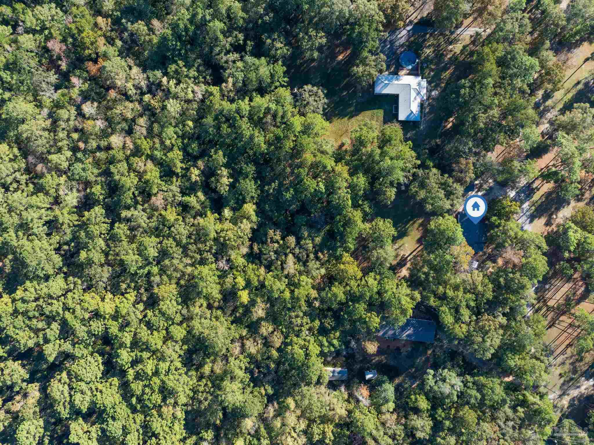 195 Miller Road DeFuniak Springs, FL 32435 - Photo 48 of 50 a picture of a tree