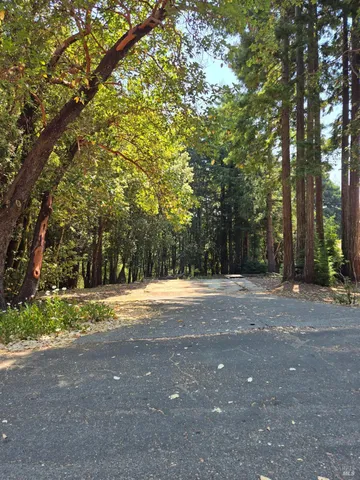 a view of a yard with a trees