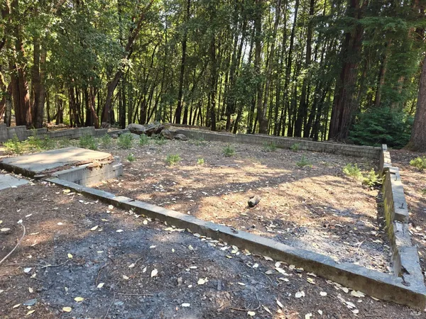 a view of a yard with large trees
