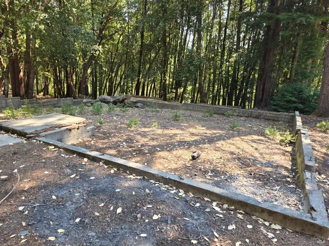 a view of a yard with large trees