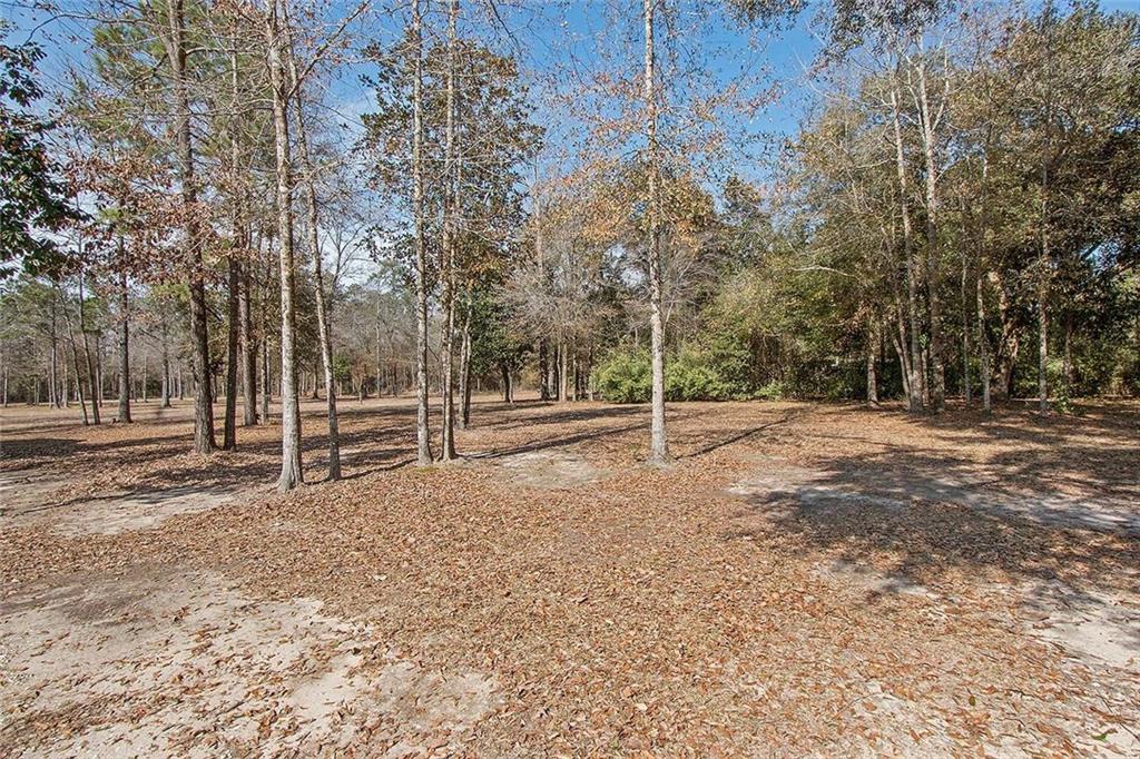 31349 Hartley Road Bush, LA 70431 - Photo 19 of 22 Gallery Image 19