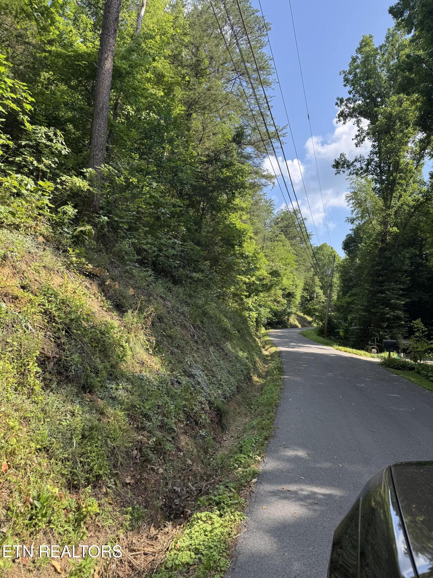 Lot 23 Walden Ridge Road Sevierville, TN 37862 - Photo 8 of 15 IMG_6028