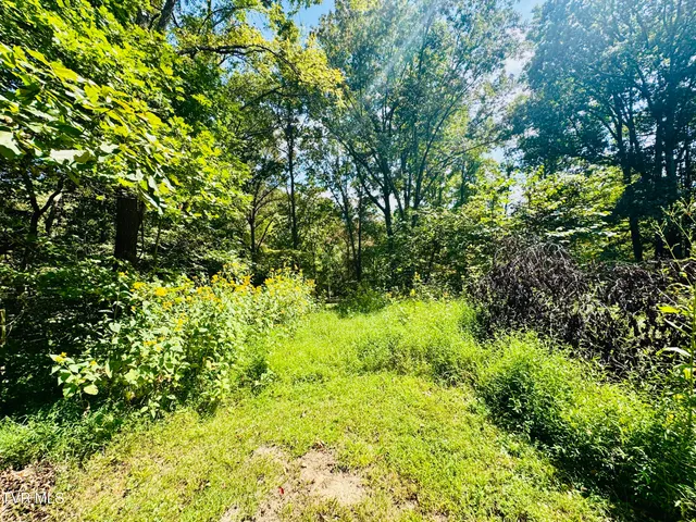 $319,931 | 923 Muddy Creek Road, Piney Flats, TN 37686