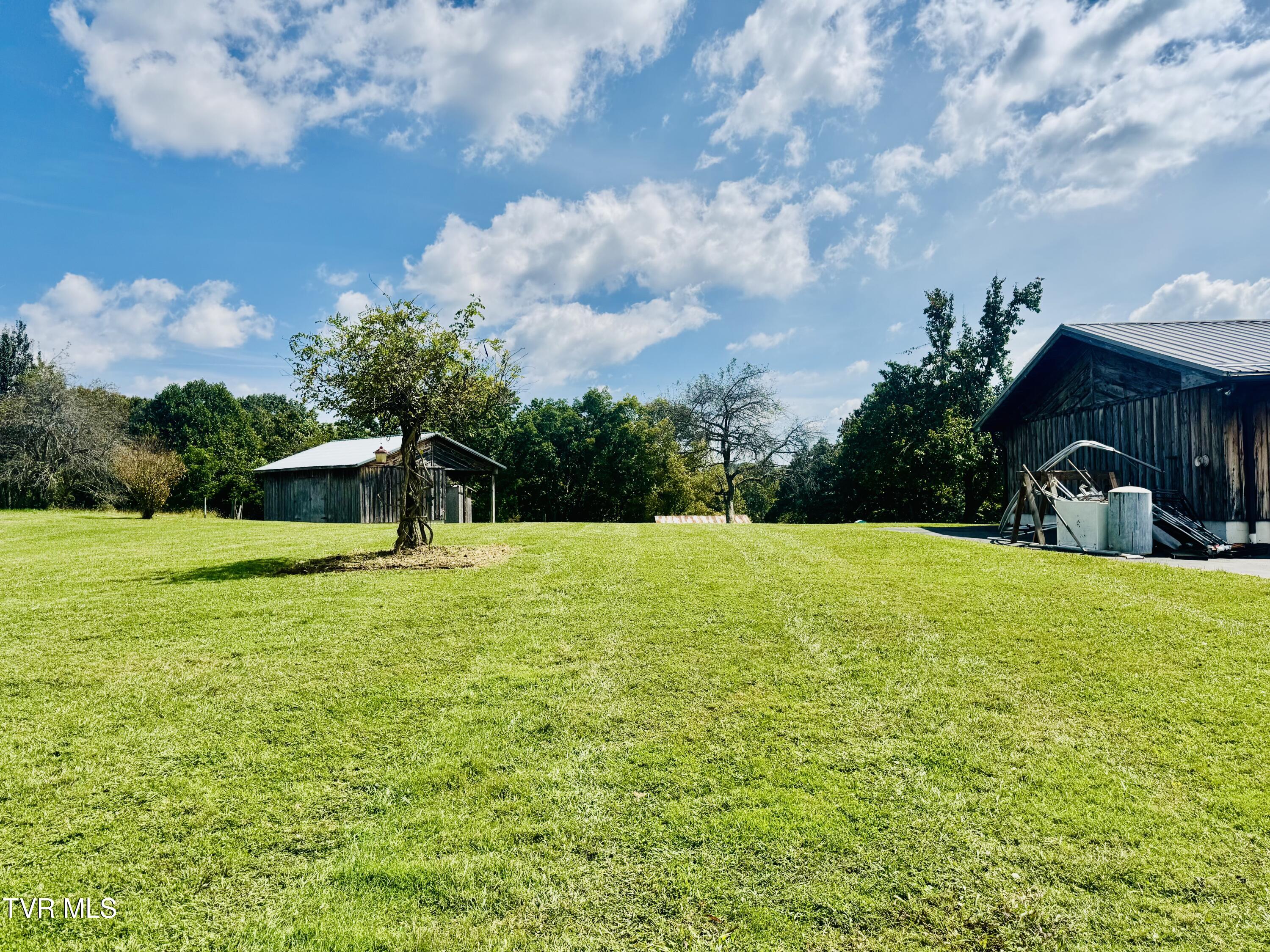 923 Muddy Creek Road Piney Flats, TN 37686 - Photo 68 of 74 IMG_3006
