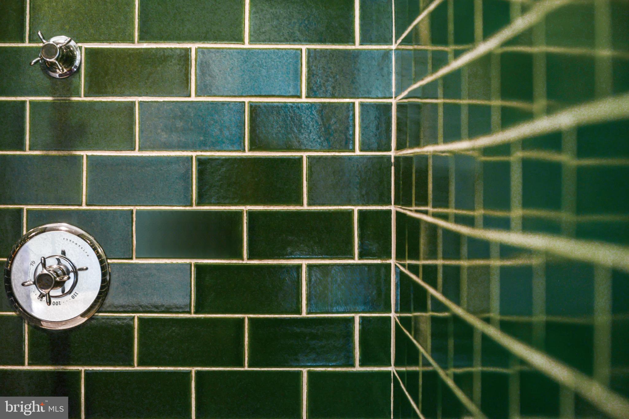 7144 Ira Sears Road Adamstown, MD 21710 - Photo 141 of 149 Custom shower