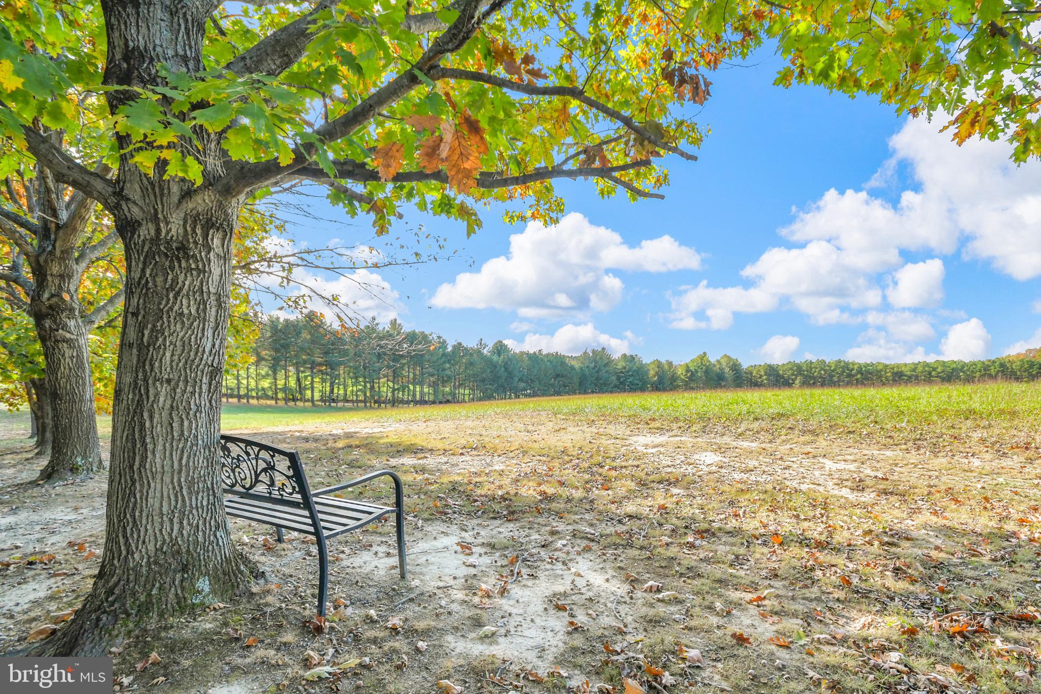 7144 Ira Sears Road Adamstown, MD 21710 - Photo 21 of 149 View from tree-lined driveway