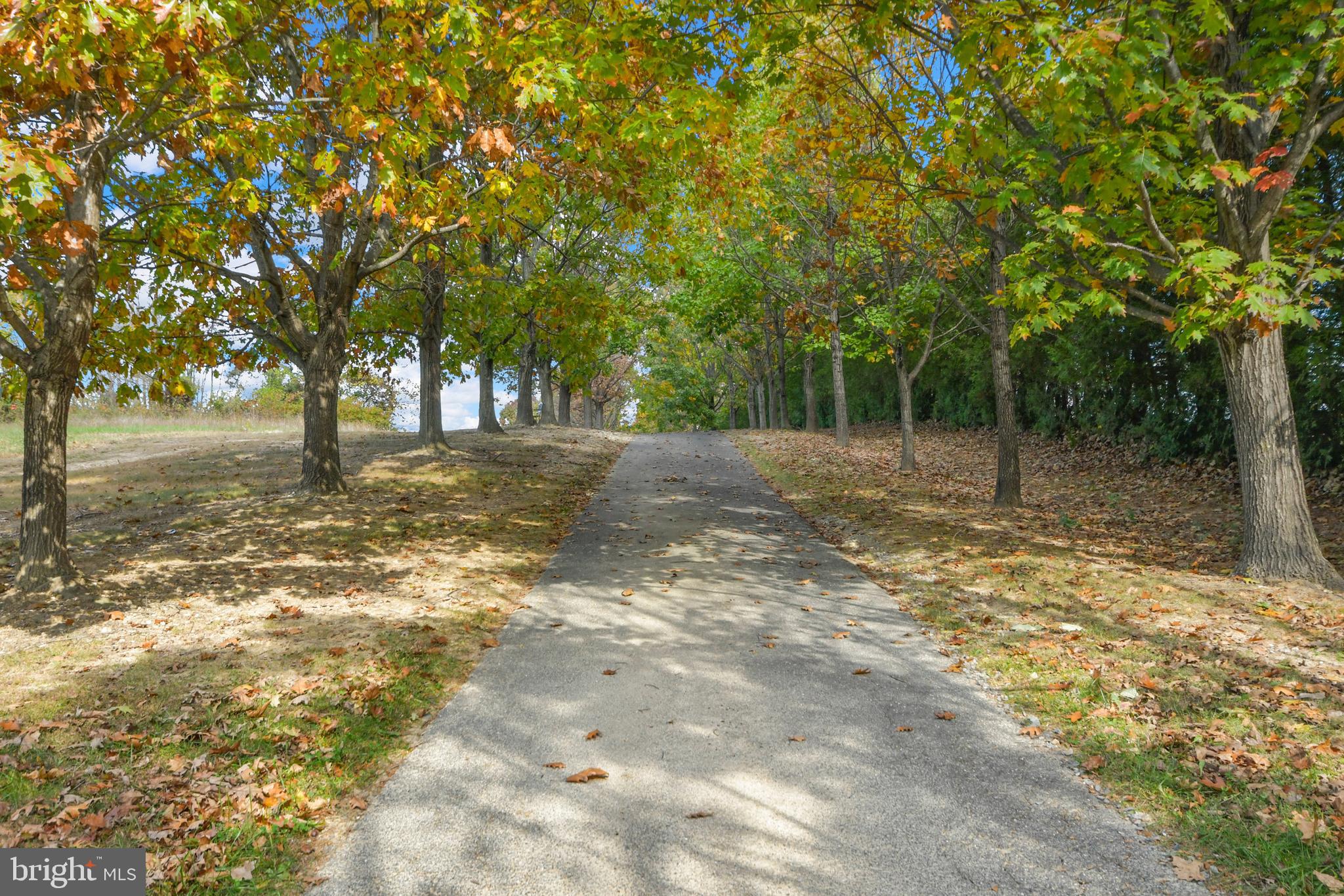 7144 Ira Sears Road Adamstown, MD 21710 - Photo 24 of 149 Tree-lined driveway