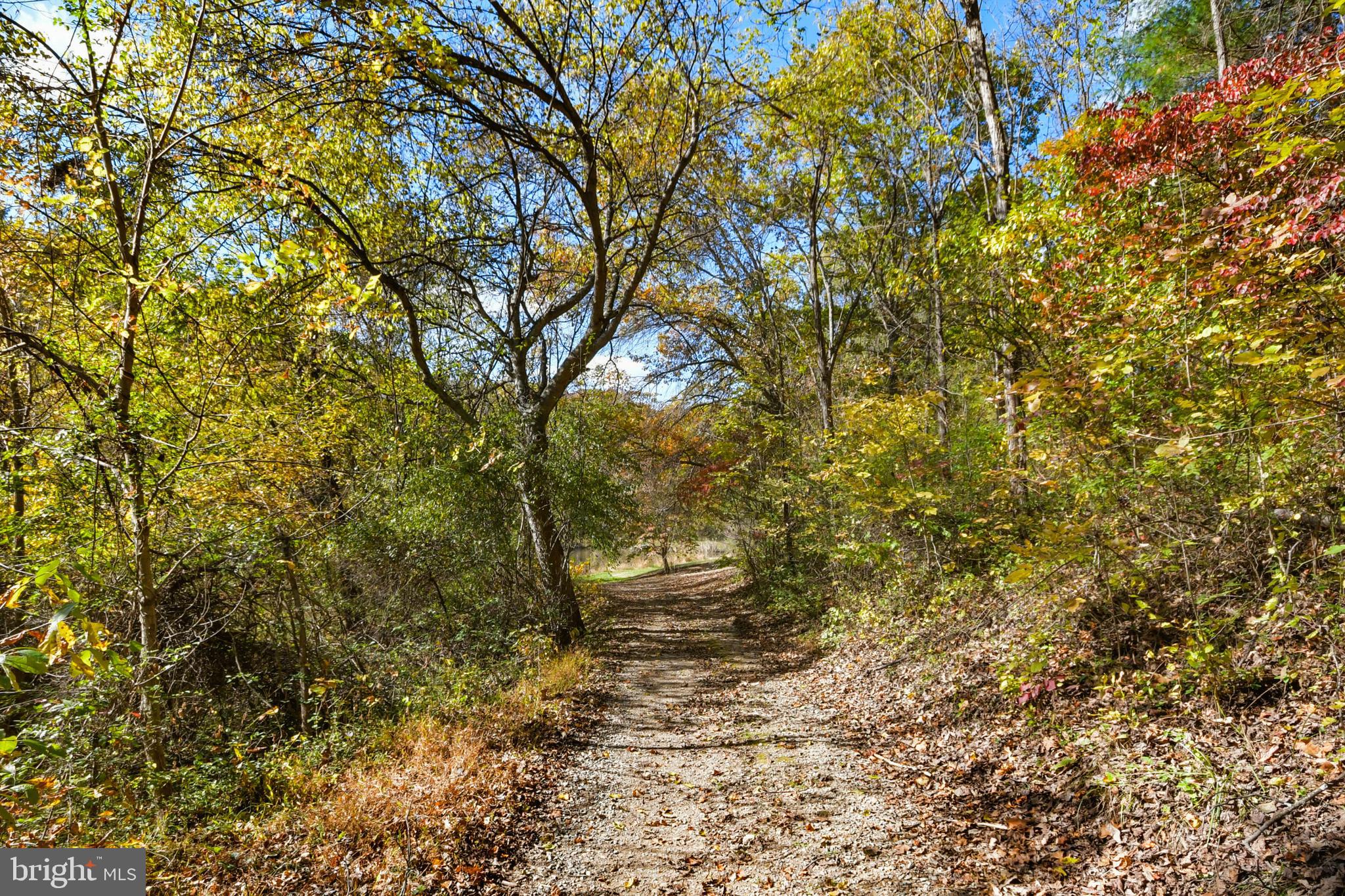 7144 Ira Sears Road Adamstown, MD 21710 - Photo 58 of 149 ATV trail