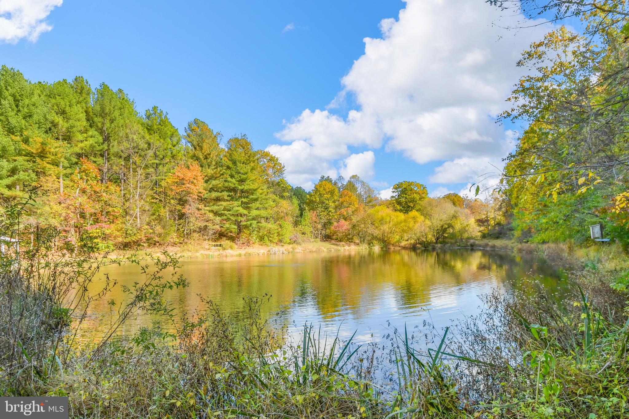 7144 Ira Sears Road Adamstown, MD 21710 - Photo 60 of 149 Spring fed pond with aeration system