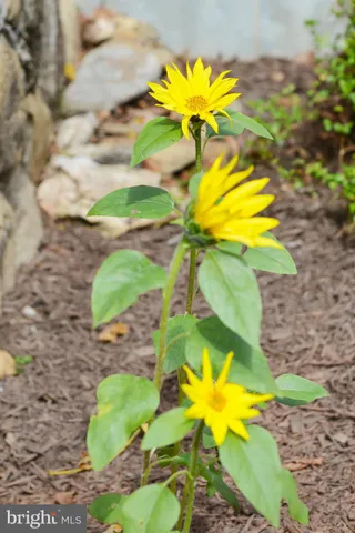 $1,350,000 | 7144 Ira Sears Road, Adamstown, MD 21710