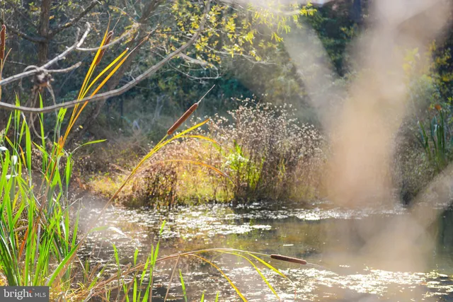 $1,350,000 | 7144 Ira Sears Road, Adamstown, MD 21710