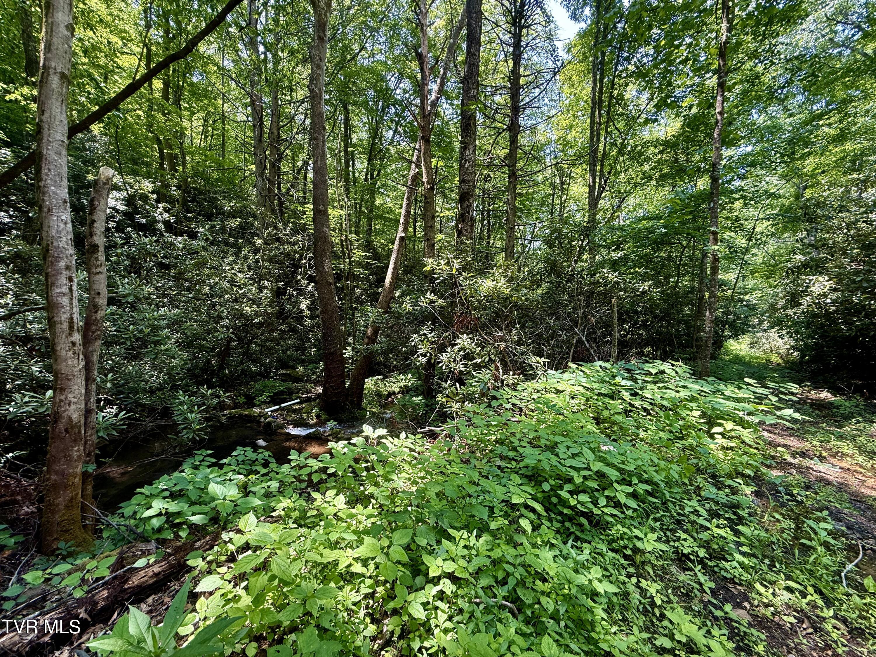 41-ac Roan Creek Road, Unit 1 Butler, TN 37640 - Photo 35 of 44 _Pic35 (30)