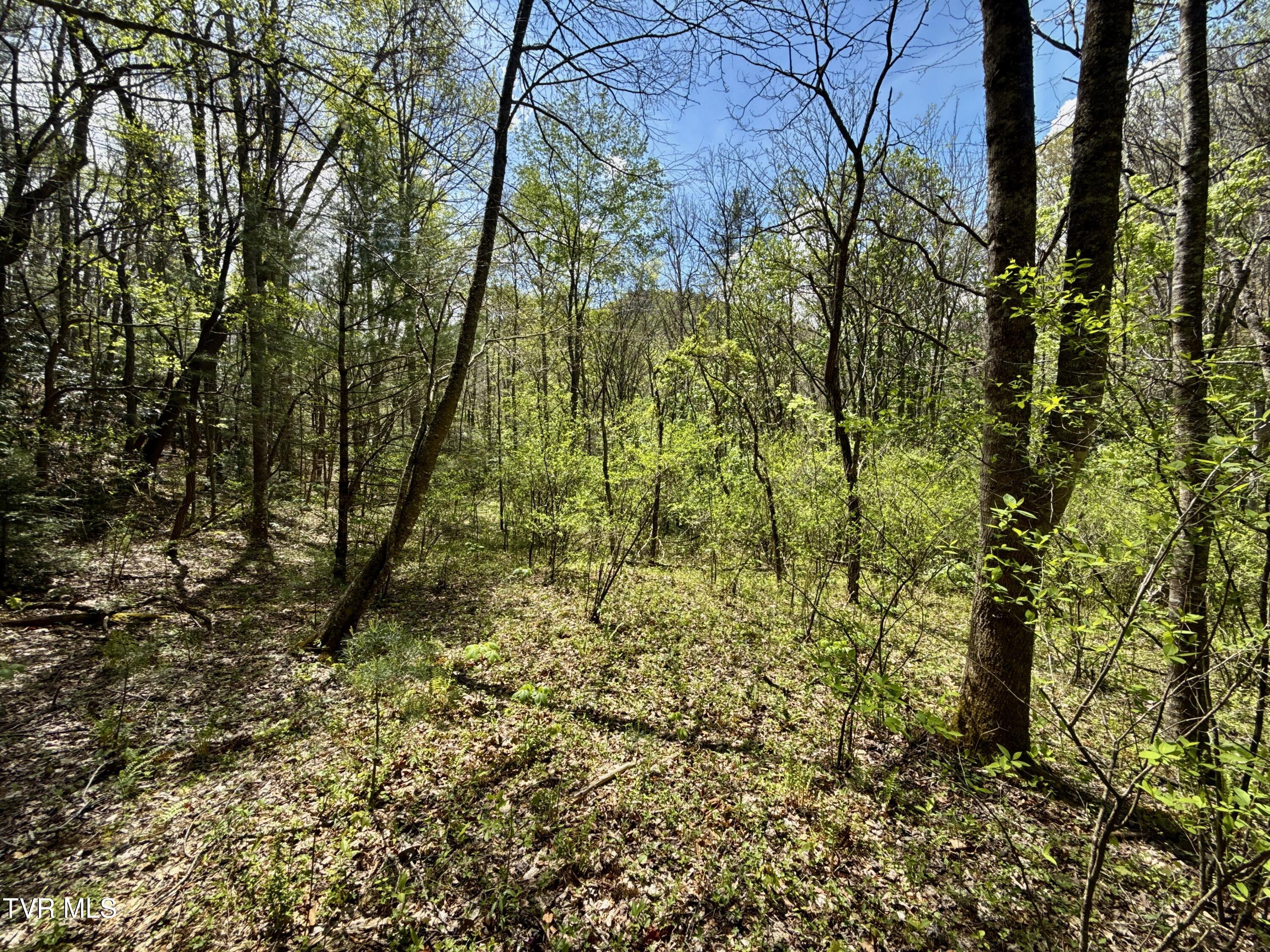 41-ac Roan Creek Road, Unit 1 Butler, TN 37640 - Photo 38 of 44 _Pic38jpg