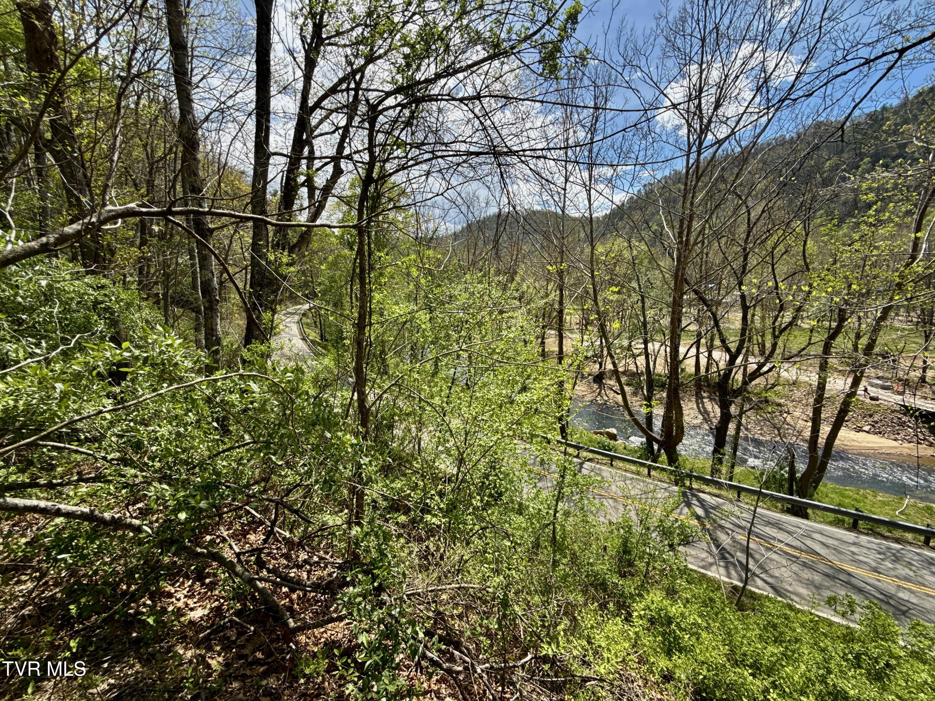 41-ac Roan Creek Road, Unit 1 Butler, TN 37640 - Photo 39 of 44 _Pic39 (27)