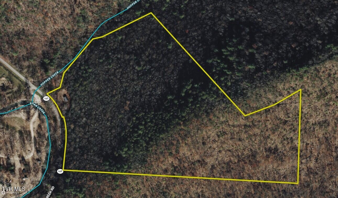 41-ac Roan Creek Road, Unit 1 Butler, TN 37640 - Photo 40 of 44 _Pic40 (25)