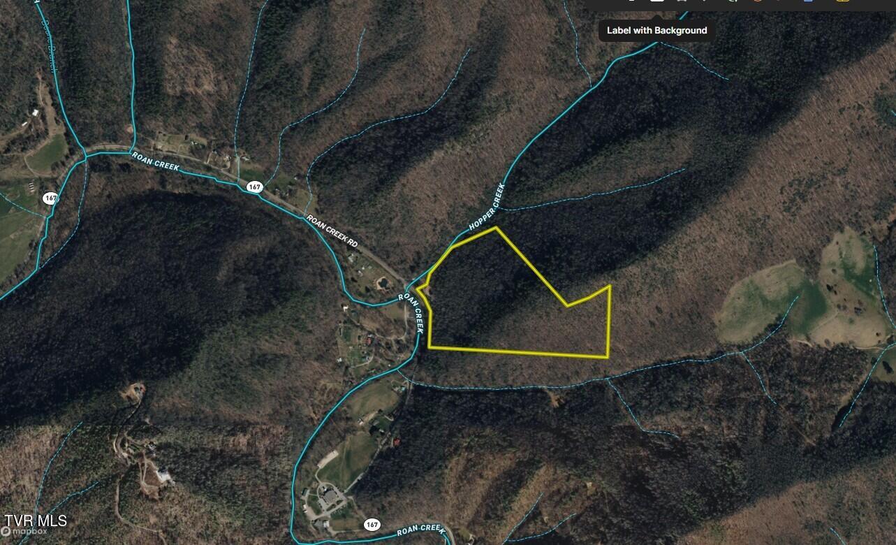 41-ac Roan Creek Road, Unit 1 Butler, TN 37640 - Photo 41 of 44 _Pic41 (26)