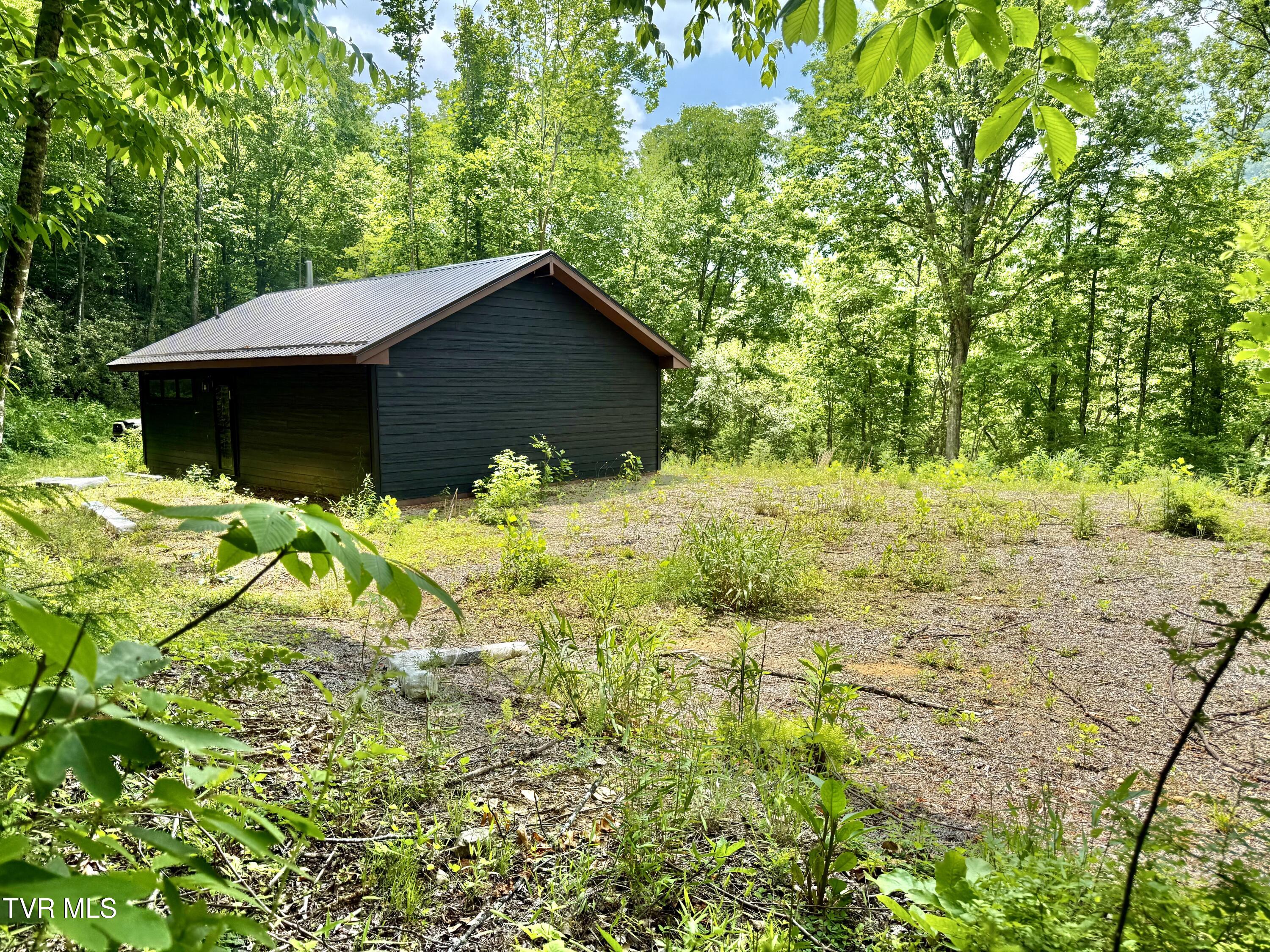 41-ac Roan Creek Road, Unit 1 Butler, TN 37640 - Photo 7 of 44 _Pic7 (63)