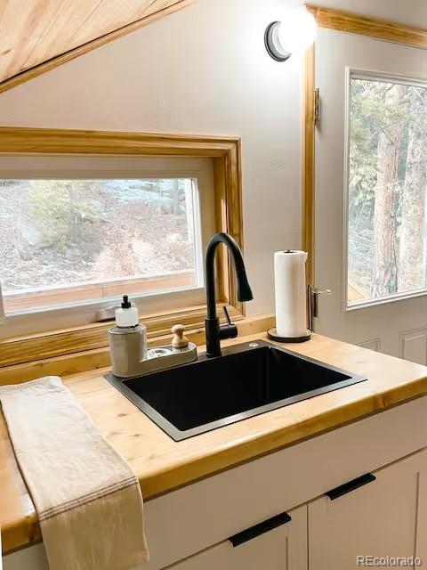 126 Signal Rock Road Golden, CO 80403 - Photo 40 of 49