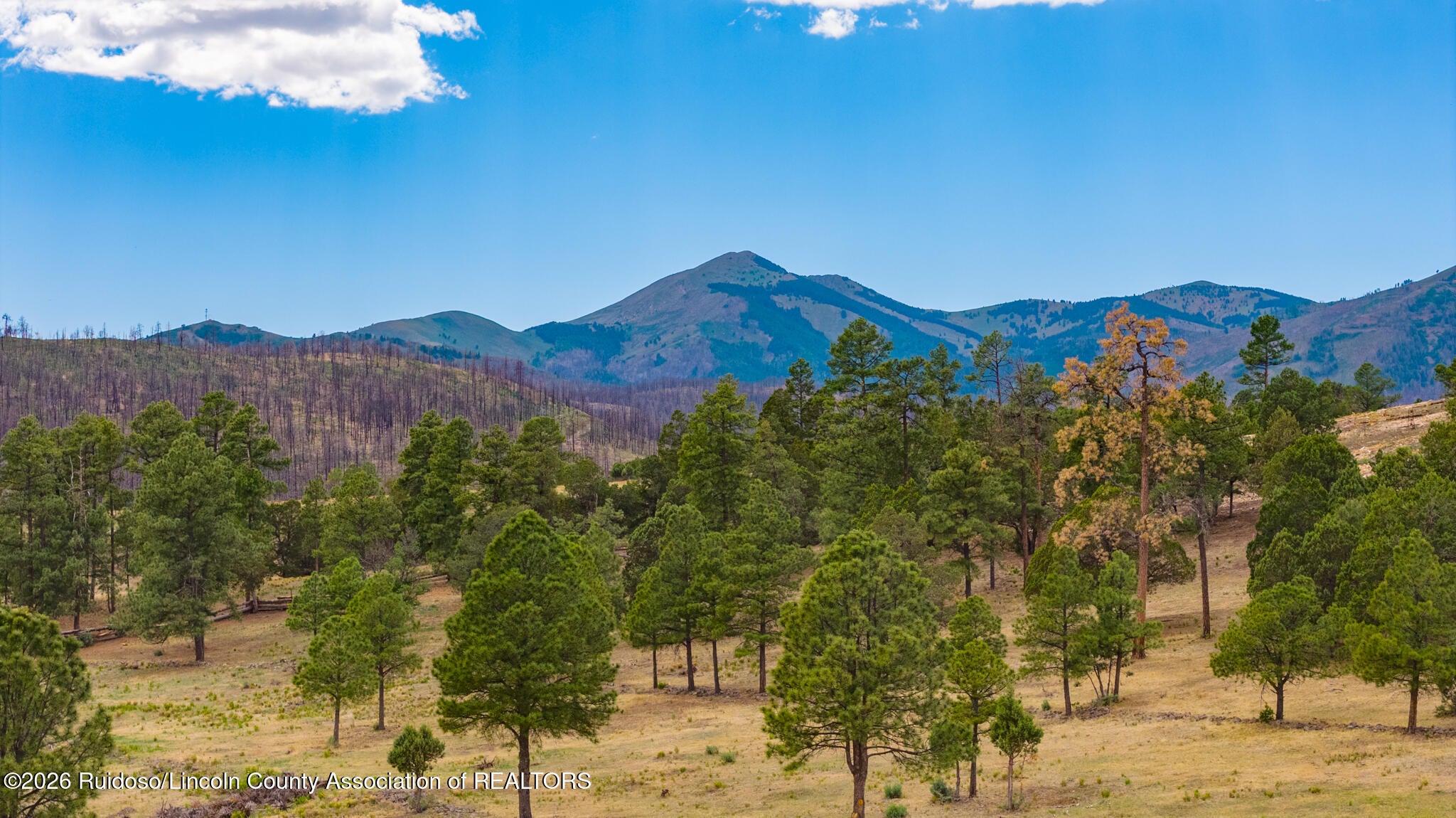 156 Gavilan Road Ruidoso, NM 88345 - Photo 3 of 138 Gallery Image 3