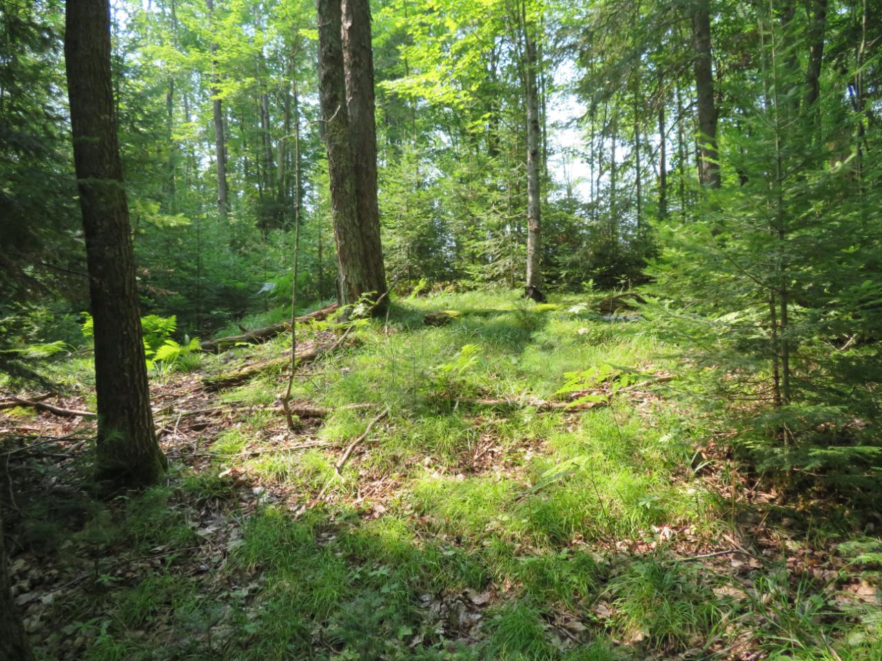 On Garrett's Trail, Unit LOT 32 Rhinelander, WI 54501 - Photo 11 of 16 Gallery Image 11