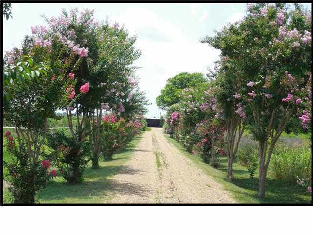 2448 Good Hope Road Yazoo City, MS 39194 - Photo 2 of 28 Photo 2