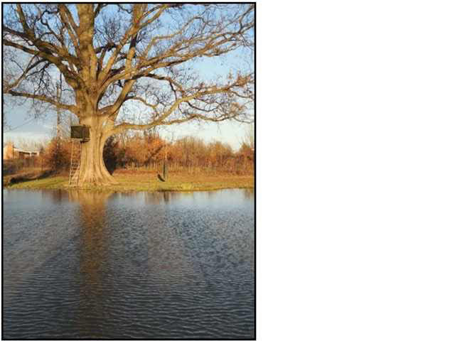 2448 Good Hope Road Yazoo City, MS 39194 - Photo 22 of 28 Photo 22