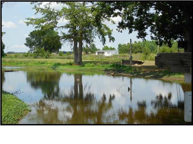 2448 Good Hope Road Yazoo City, MS 39194 - Photo 3 of 28 Photo 3