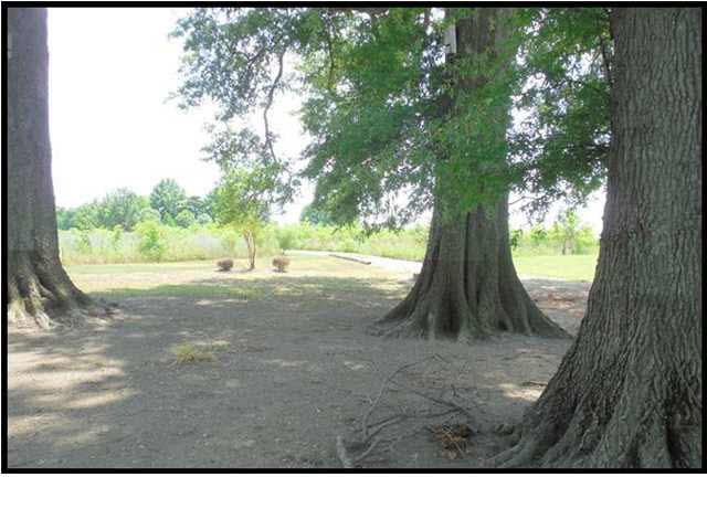 2448 Good Hope Road Yazoo City, MS 39194 - Photo 4 of 28 Photo 4