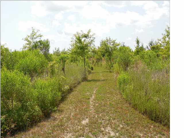 2448 Good Hope Road Yazoo City, MS 39194 - Photo 8 of 28 Photo 8
