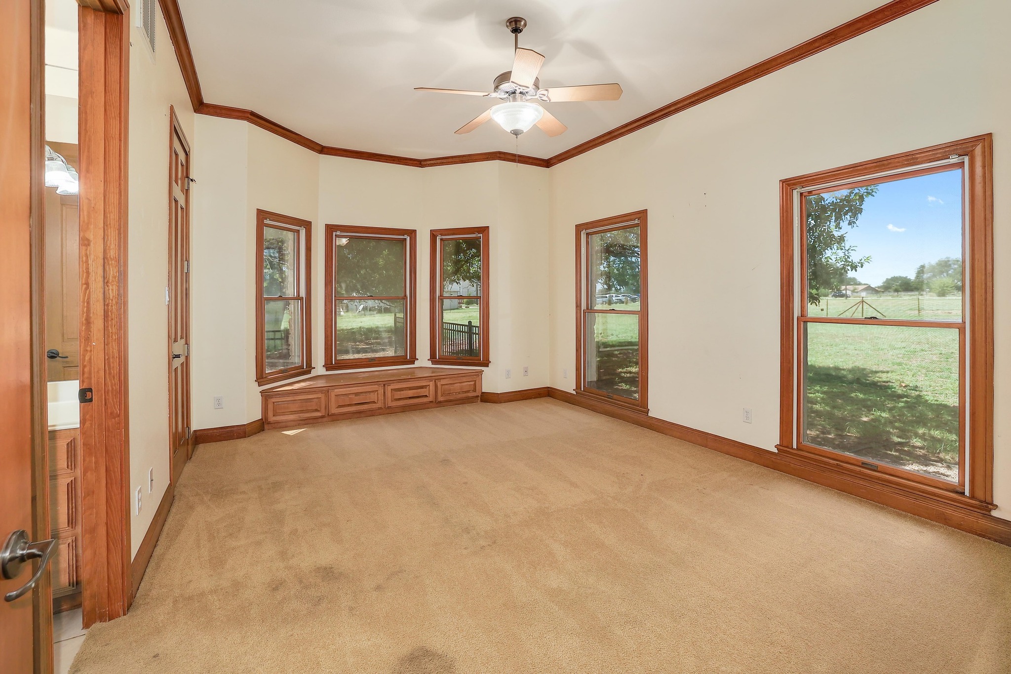 3900 Shell Road Georgetown, TX 78628 - Photo 22 of 40 Spare room featuring ornamental molding, light carpet, and a ceiling fan