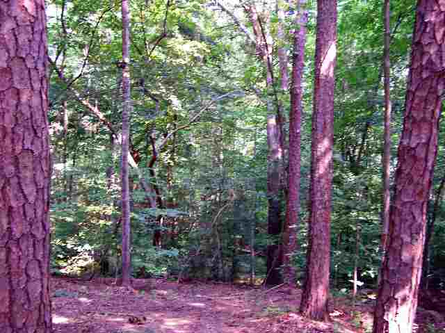 0 Stonehaven Way Seneca, SC 29672 - Photo 4 of 9 Gallery Image 4