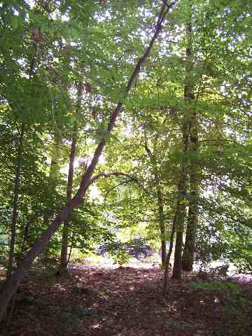0 Stonehaven Way Seneca, SC 29672 - Photo 7 of 9 Gallery Image 7