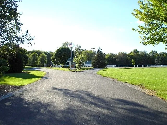 a view of swimming pool with a yard