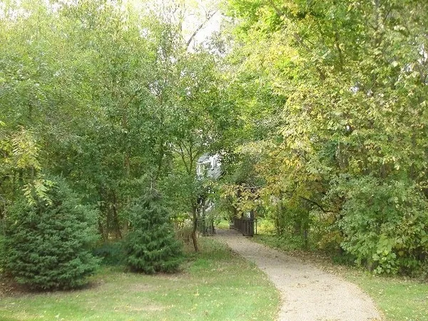 a view of a yard