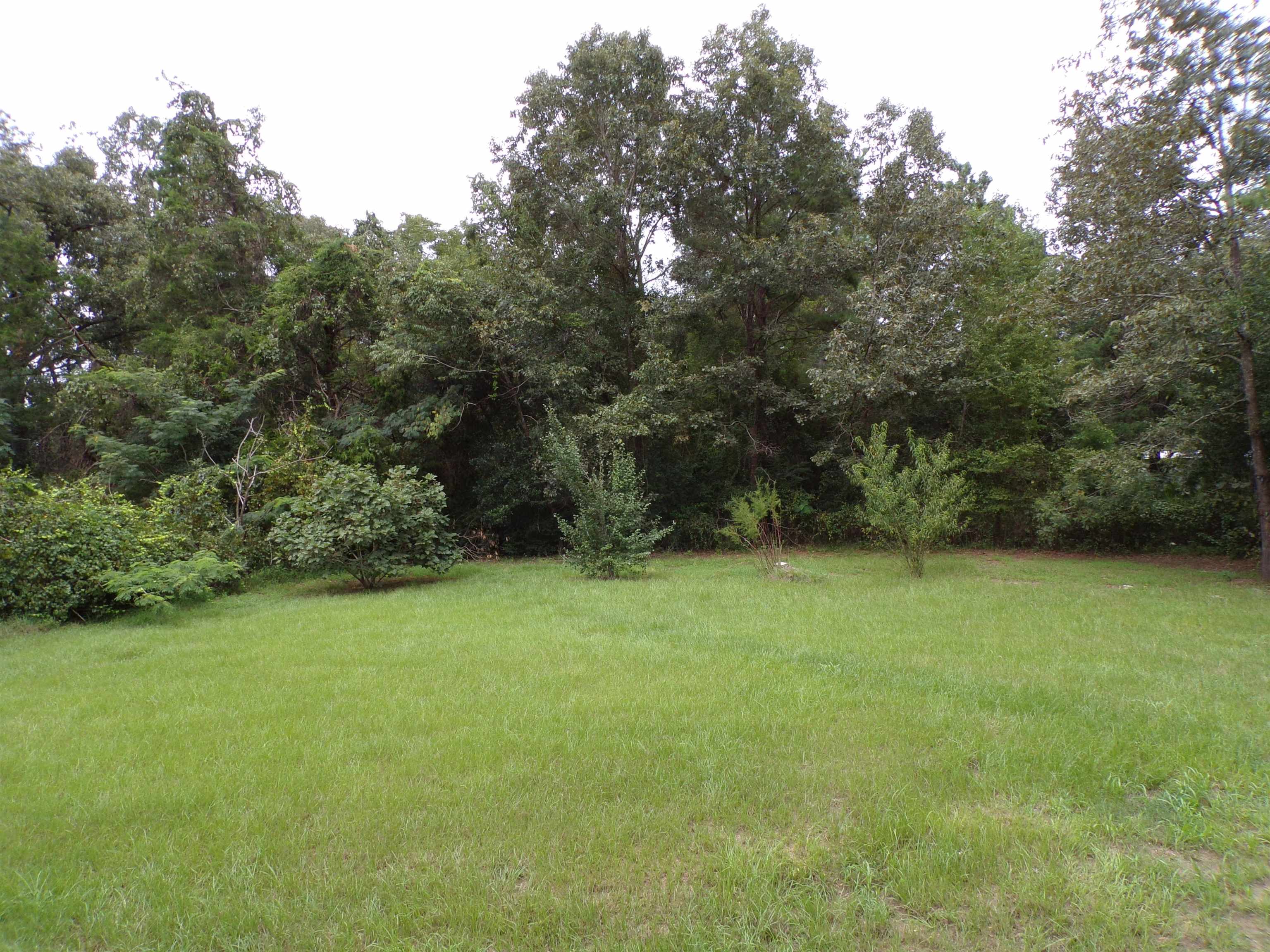 170 John David Road Gordon, AL 36343 - Photo 3 of 19 Gallery Image 3