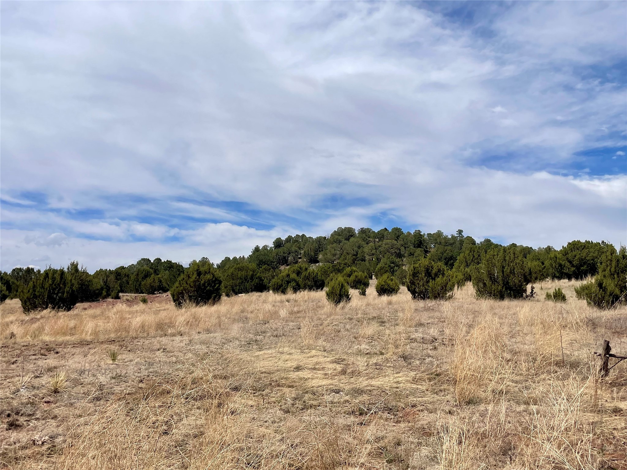 331 Mirasol Road Las Vegas, NM 87701 - Photo 3 of 14