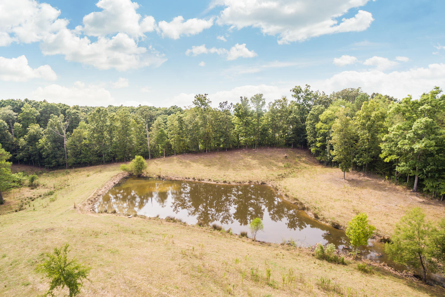 1275 Emerson Road Cohutta, GA 30710 - Photo 14 of 31 1275_Emerson_Rd_15