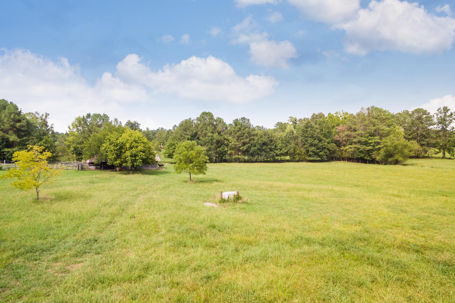 1275 Emerson Road Cohutta, GA 30710 - Photo 16 of 31 1275_Emerson_Rd_13