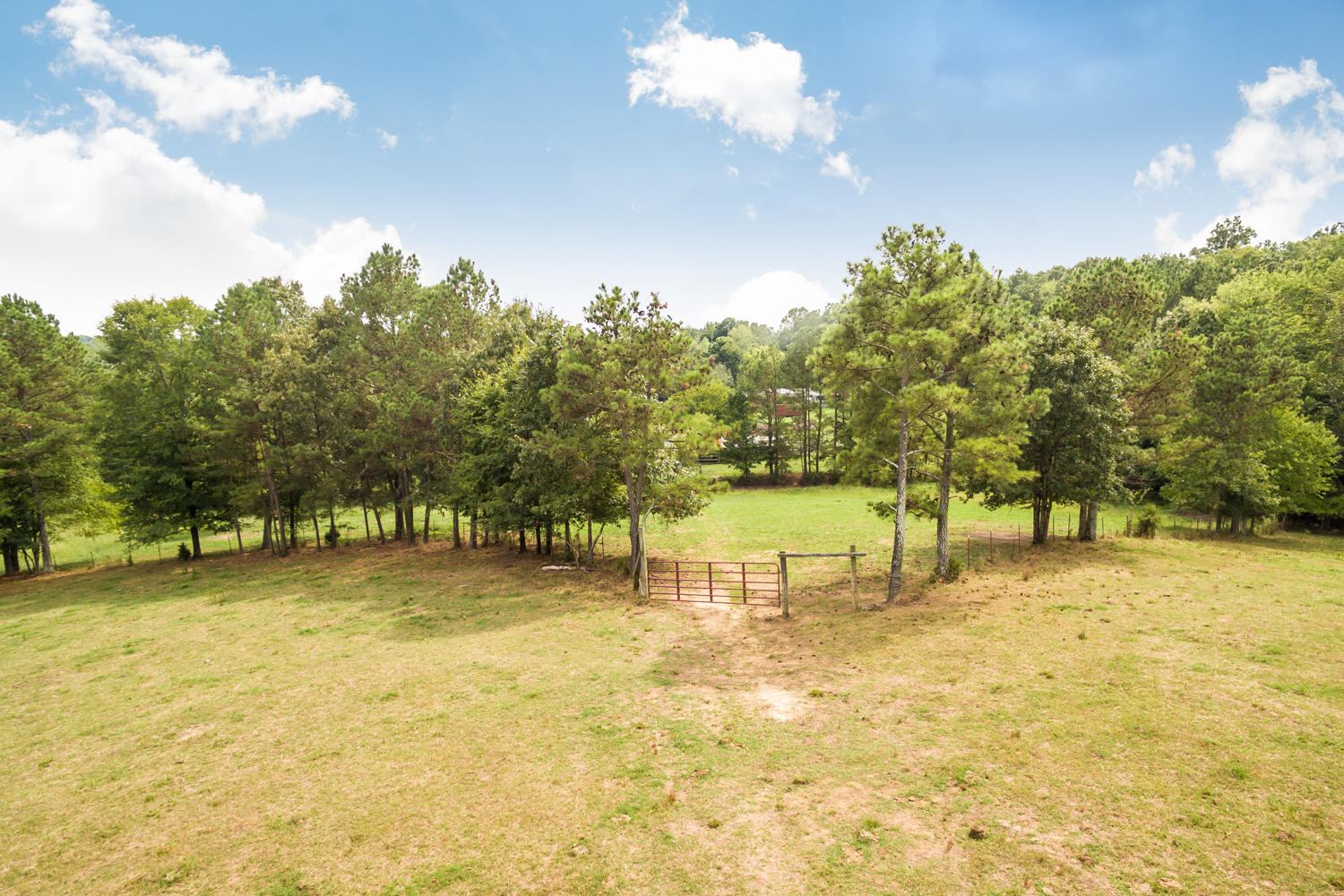 1275 Emerson Road Cohutta, GA 30710 - Photo 17 of 31 1275_Emerson_Rd_06