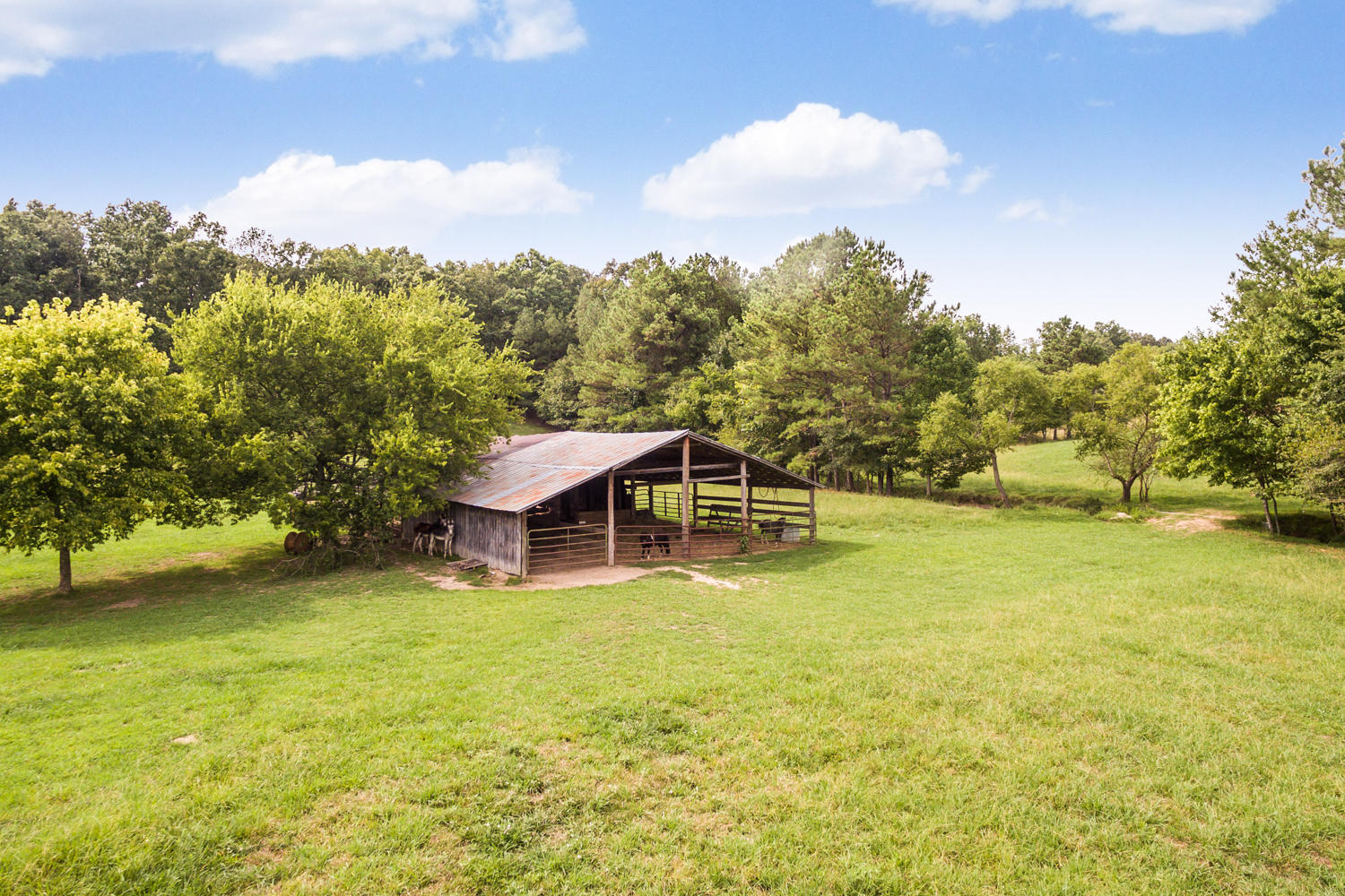 1275 Emerson Road Cohutta, GA 30710 - Photo 10 of 31 1275_Emerson_Rd_07