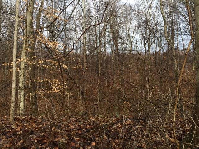 0 Twp Road Logan, OH 43138 - Photo 1 of 6