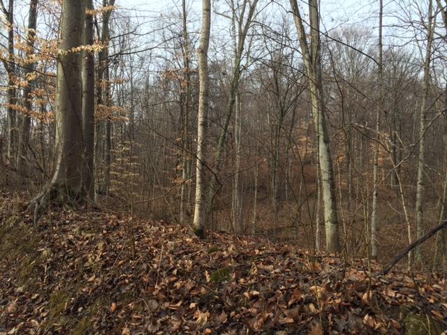 0 Twp Road Logan, OH 43138 - Photo 2 of 6