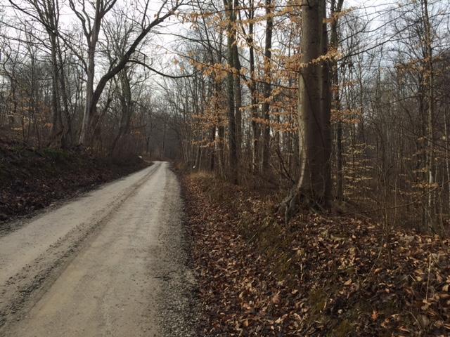 0 Twp Road Logan, OH 43138 - Photo 3 of 6