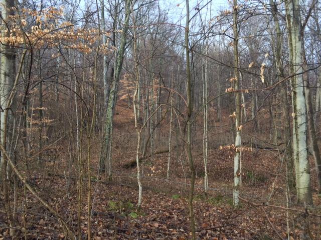 0 Twp Road Logan, OH 43138 - Photo 4 of 6