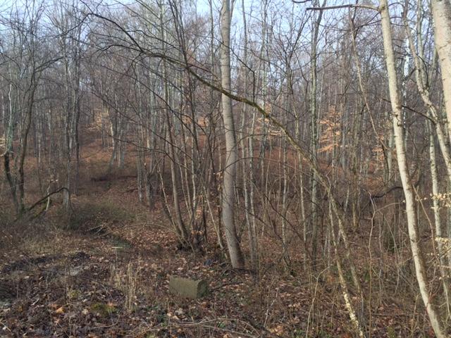 0 Twp Road Logan, OH 43138 - Photo 5 of 6