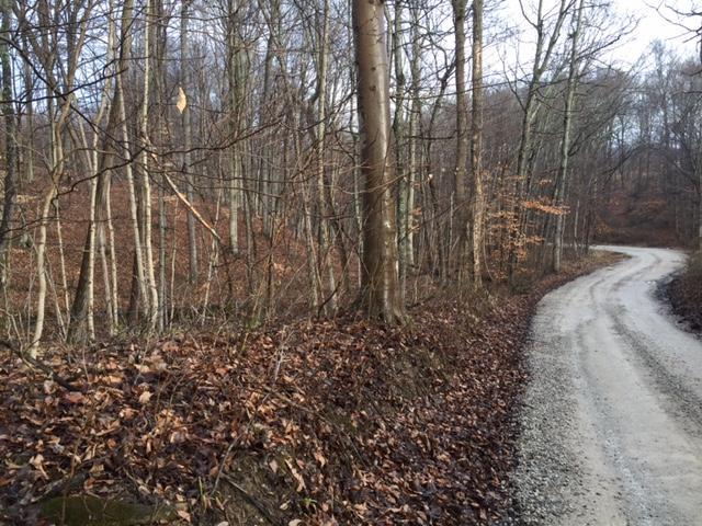 0 Twp Road Logan, OH 43138 - Photo 6 of 6